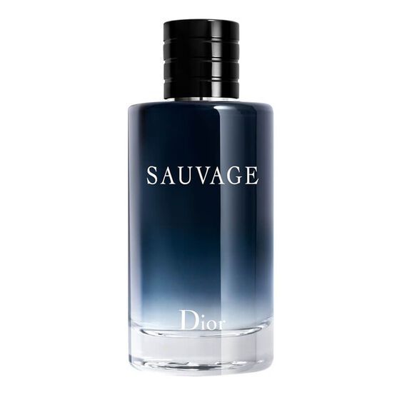 Sauvage Dior Eau de Toilette 100ml - Salvador Imports