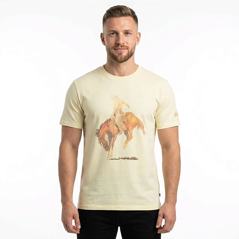 トップス house on the hill L/S Tee (Brown Horse) Women's Cream/horse Loose-Fit Printed T-Shirt | H&M US