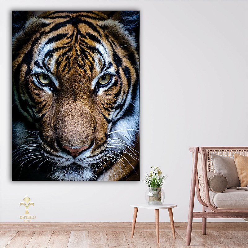 Quadro Decorativo Flutuante Animal Silvestre Tigre Deitado Colorido -  Estilo Arte Design