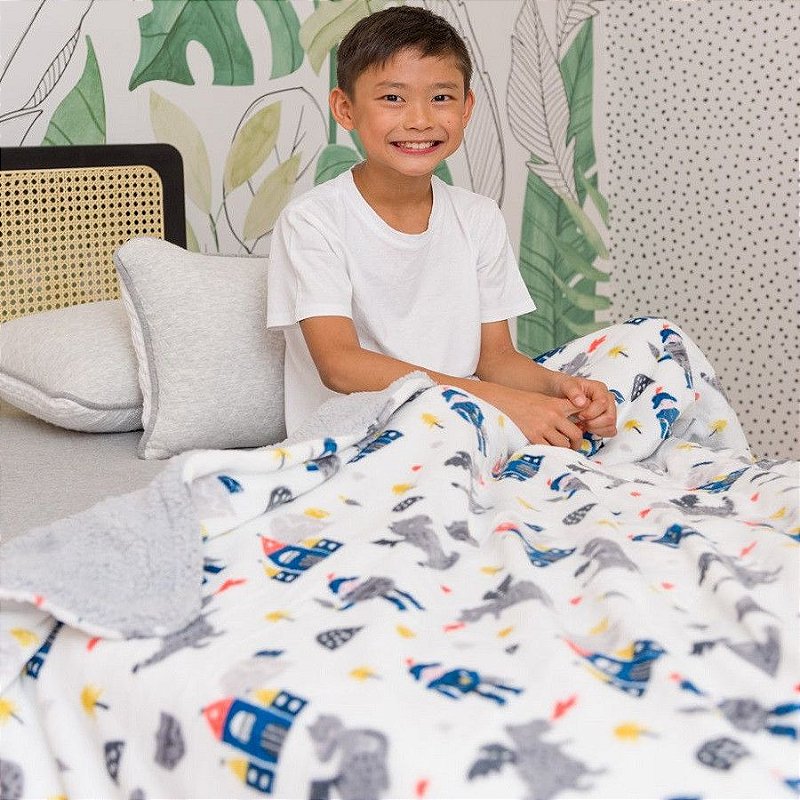 Cobertor Infantil Plush Print com Sherpa 1,27 x 1,52 Pirata Azul
