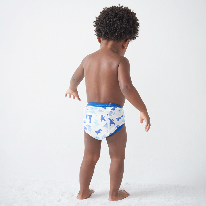 Calcinha de Treinamento Desfralde Rainbow Tamanho P 2UN - Buba