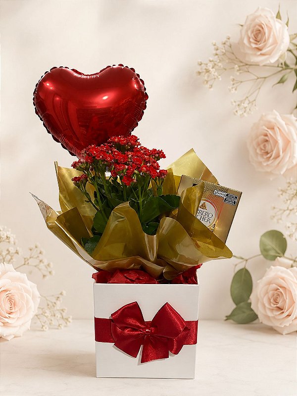 Box Kalanchoe Red