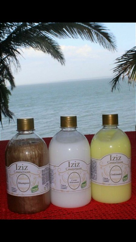 Linha orgânica controle de queda e caspa tamanho grande  - Essência de Erva Doce ou Buriti