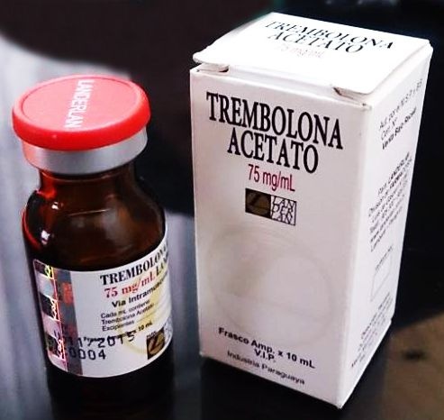 Enantato de testosterona x trembolona x stanozolol