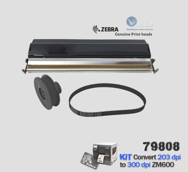 sei⭐️ページ Kit de Conversão Zebra ZM600 de 203dpi → 300dpi |79808 - Lservice