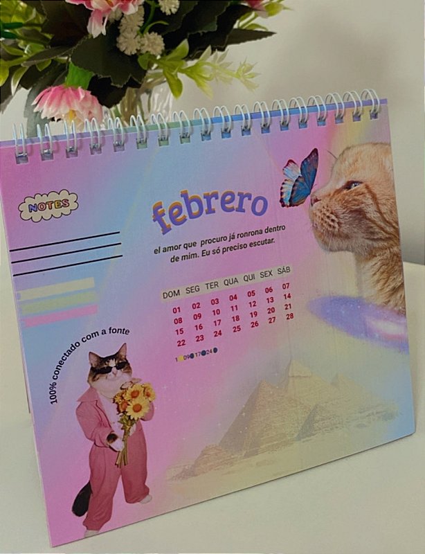✨💕Calendário Gatito 2026✨💕