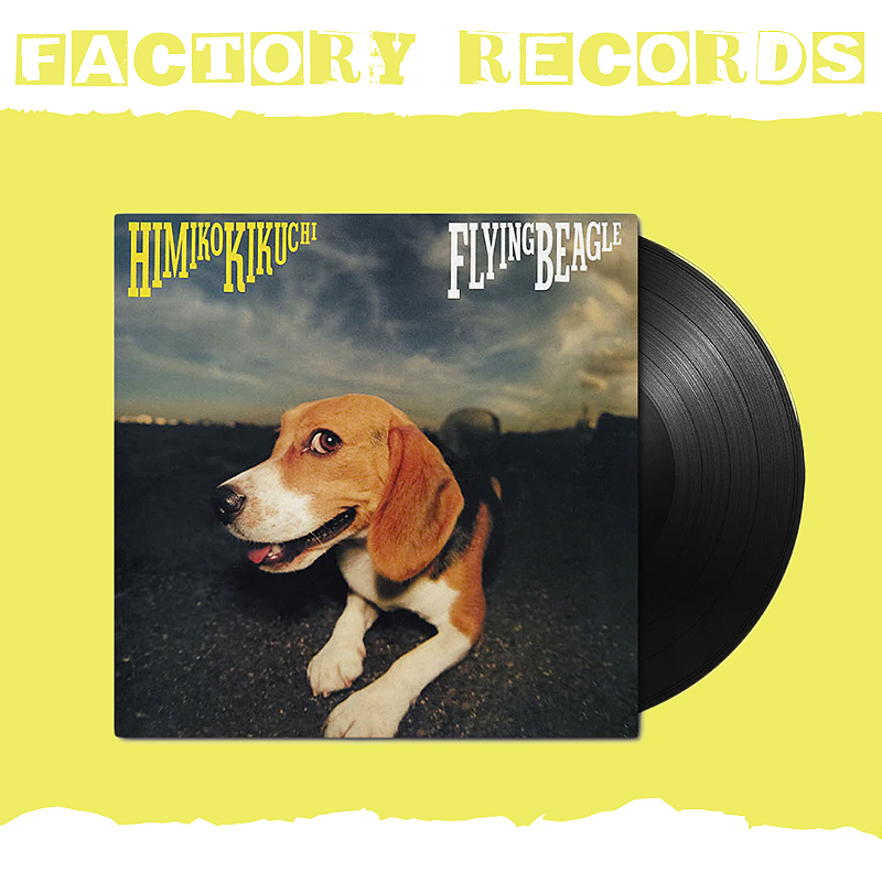 LeiNoa beagle 大きいサイズ factory-records--13--