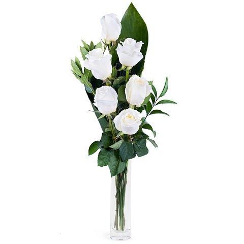 Buquê 6 Rosas Brancas - Pure Love