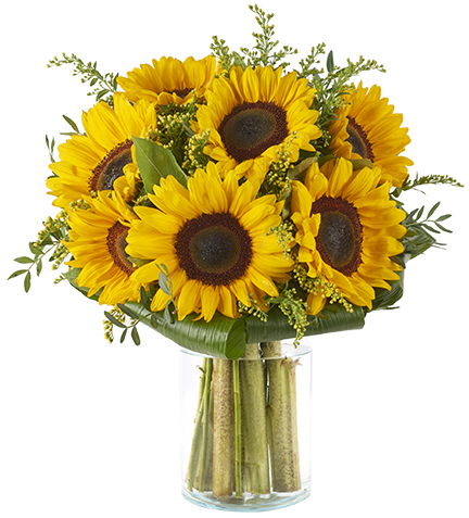 Buquê de Flores de Girassol