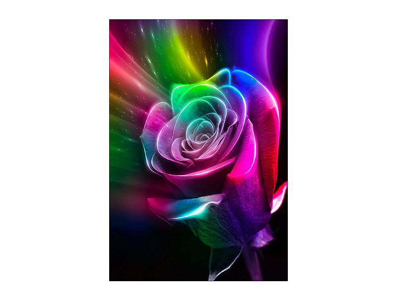 Flor com um pouco de neon