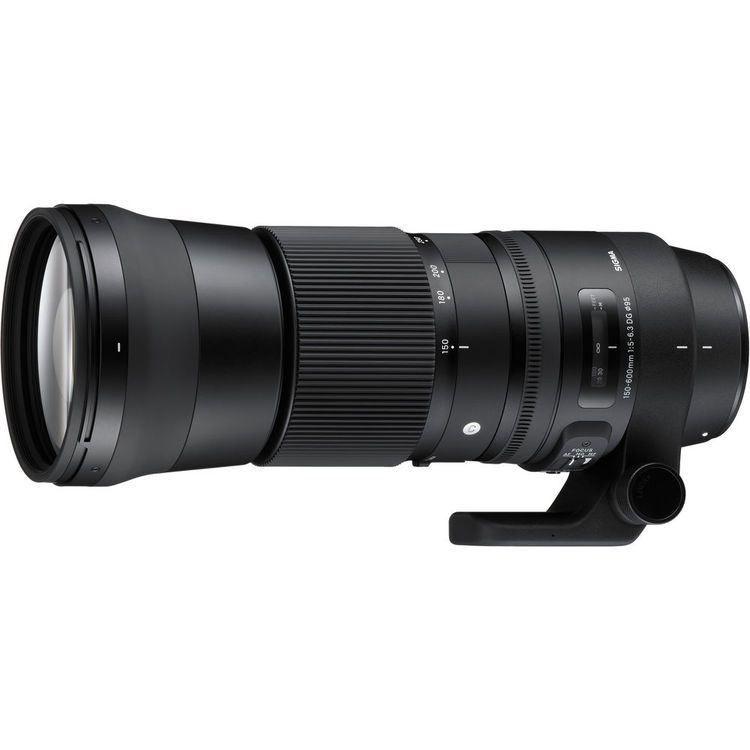 殿堂 150-600mm Sigma Lente f/5-6.3 Contemporary HSM OS DG デジタルカメラ
