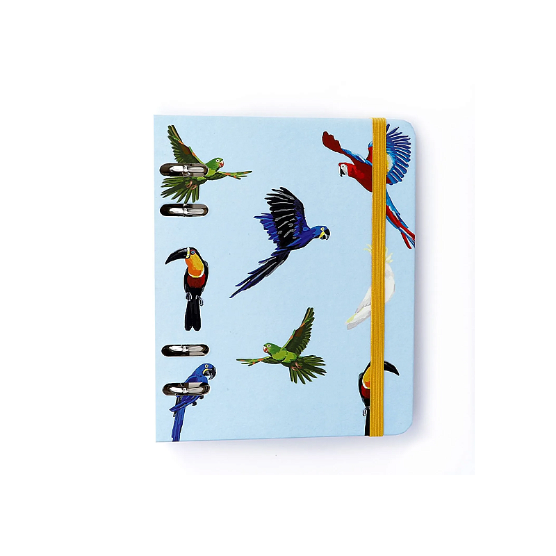 Caderno Argolado Pássaros Pautado & Pontilhado A6 Azul - Papel Picado -  Papelaria, presentes, Scrapbook, decoração e muito mais
