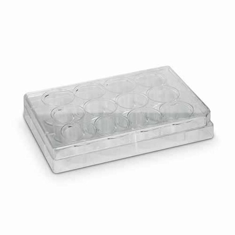 Placa Cultivo de Células 12 Poços Fundo Chato