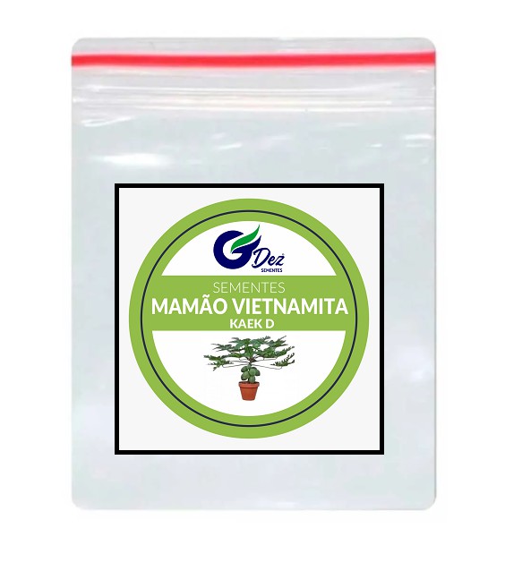 Sementes Do Mamão Vietnamita Kaek Dahm Grande Produção 100