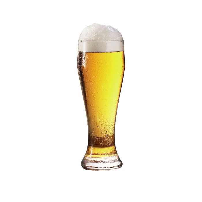 beer glass or pilsner