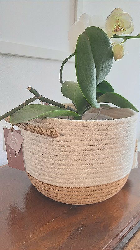 Cesto P Corda Natural com Base Pintada - Artesanal e Sustentável