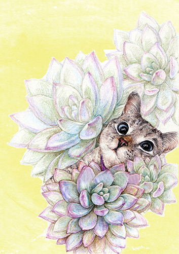 Papel de carta Gato na suculenta