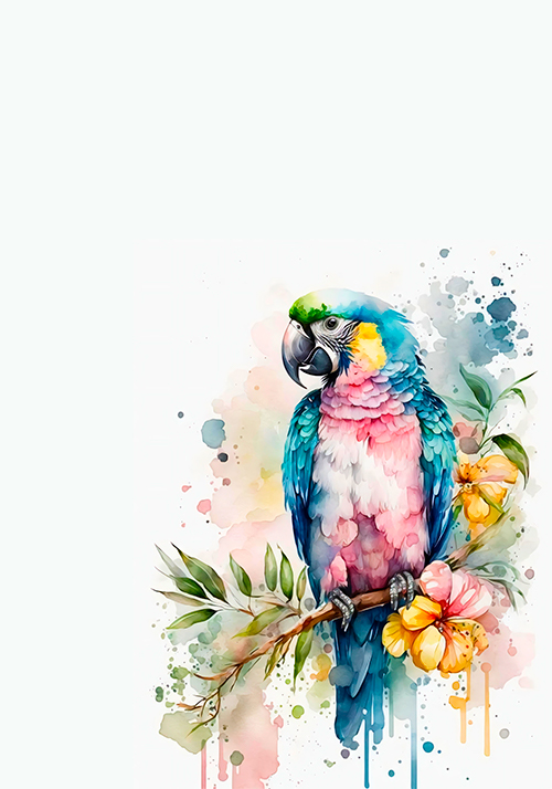 COLEÇÃO FLY - 06 PAPÉIS DE CARTA