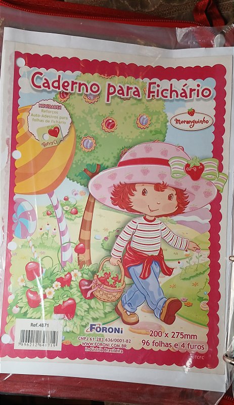 Capa de fichario antiga colecionáveis- coleção Juliana Chaves