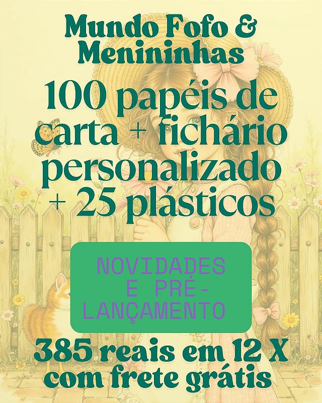 NOVIDADES E LANÇAMENTOS - 100 papéis de carta + fichario personalizado + 25 plásticos