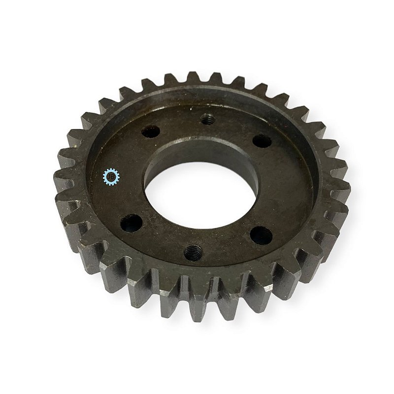 Pasalidognathus modestus　69mm 62mm ENGRENAGEM Z-31 DO ROLO LISO PECUS 9004 - JB PEÇAS E IMPLEMENTOS