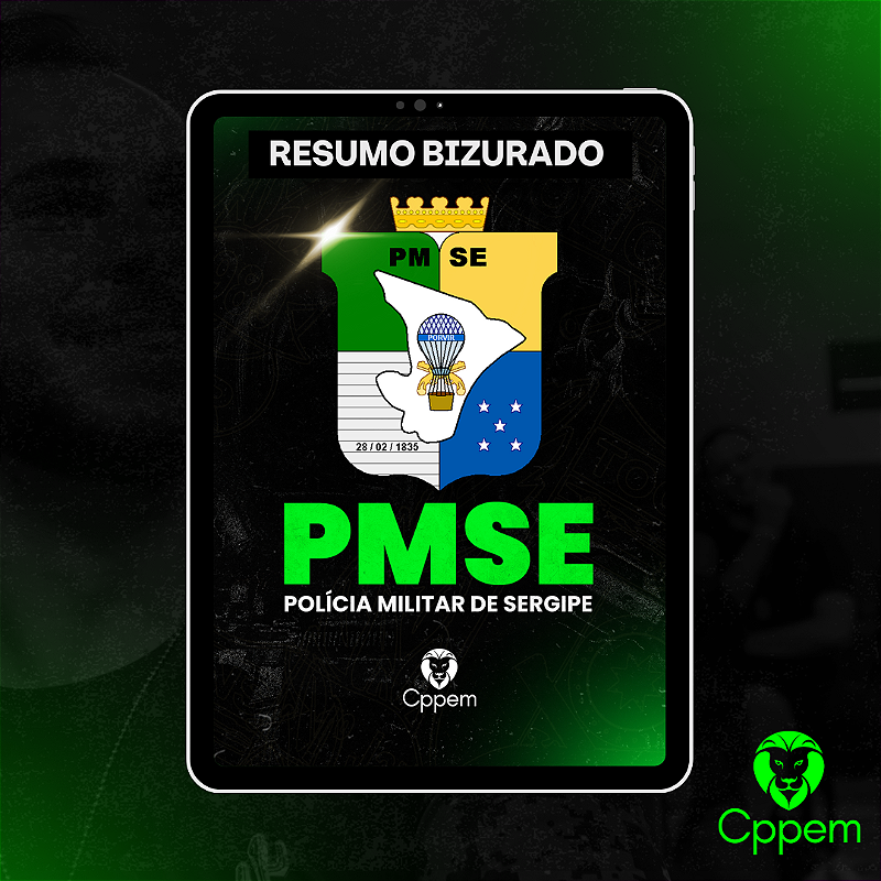 Resumo Bizurado Digital | PMSE