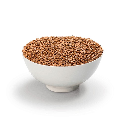 Coentro em Grão 80G