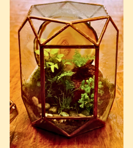 TERRARIO PORTA OBJETO