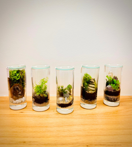TERRARIO COPO MINI