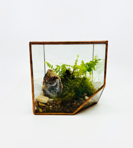 TERRARIO CUBO MEDIO
