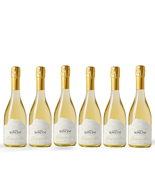 Sauvignon Blanc 2024 - COMPRE 5 LEVE 6