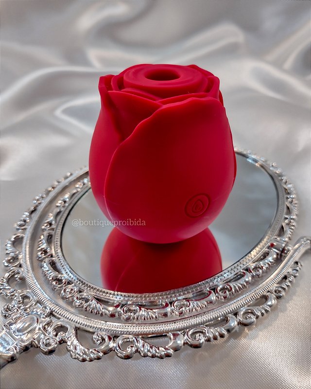 Rosa Sugador de Clitóris Recarregável