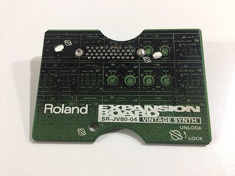 Expansão Roland Vintage Synth SR JV80-04 - Miriade Music
