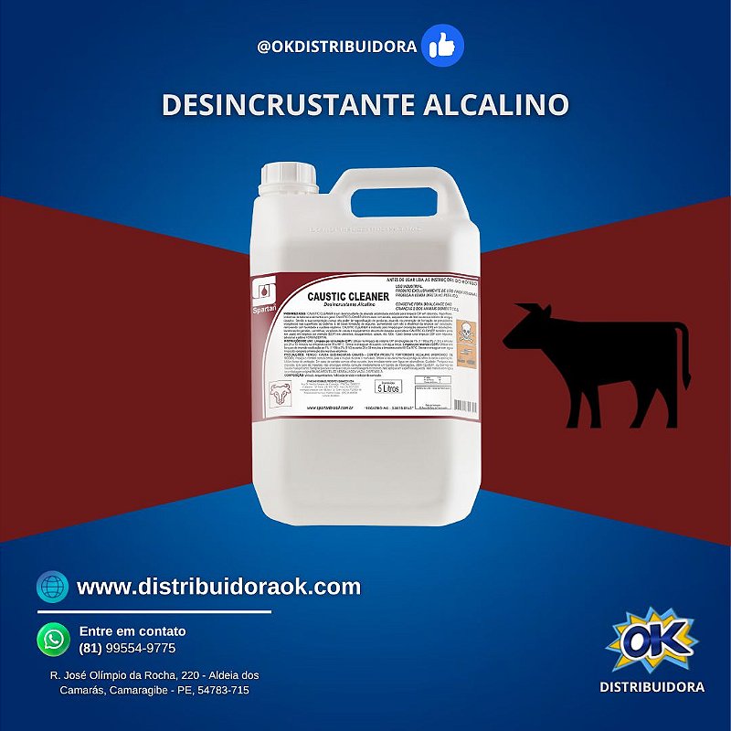 DESINCRUSTANTE ALCALINO CAUSTIC CLEANER 5 LITROS Distribuidora Ok
