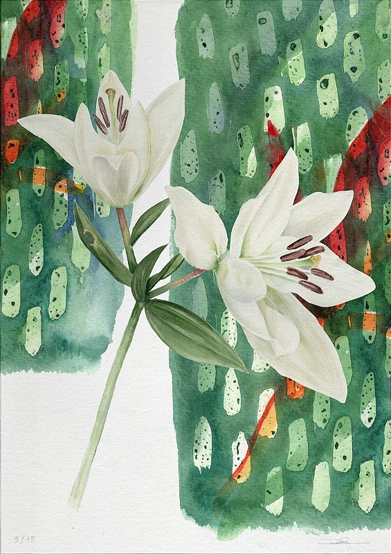 Série grafismos – Lírio composto, 2017 | 42 x 59,4 cm