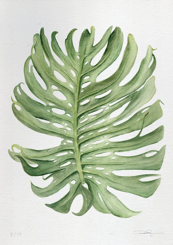 Um doce de costela, 2017 | 42 x 59,4 cm