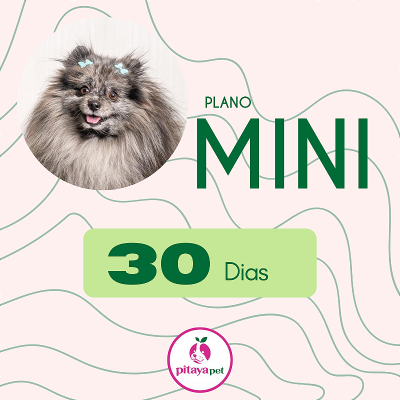 MINI - PLANO 30 DIAS