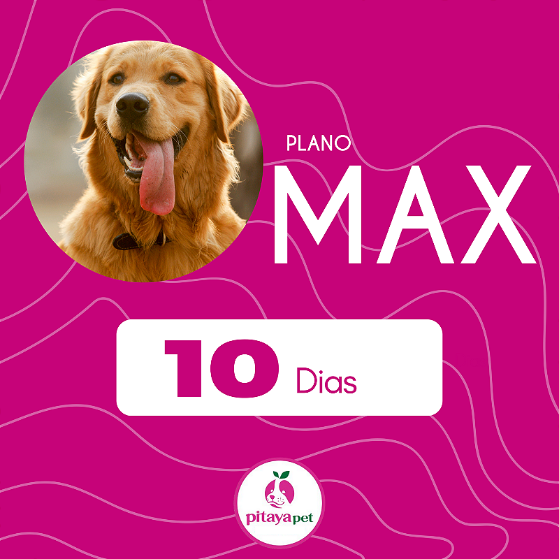 MAX - PLANO 10 DIAS