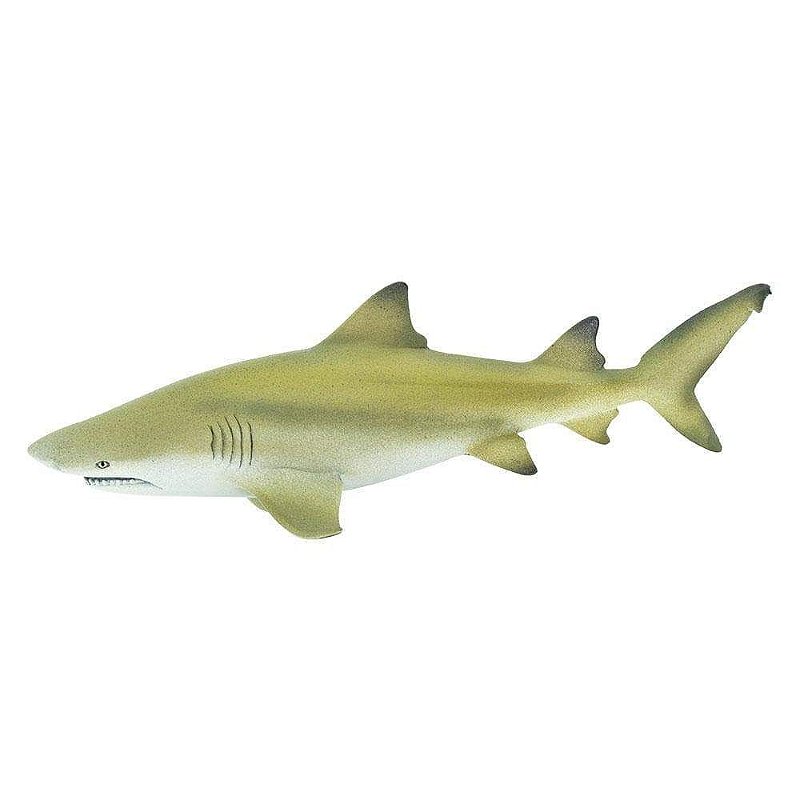 Figura Tubarão Limão (Lemon Shark) Safari Ltd. - 08 anos! Loja on