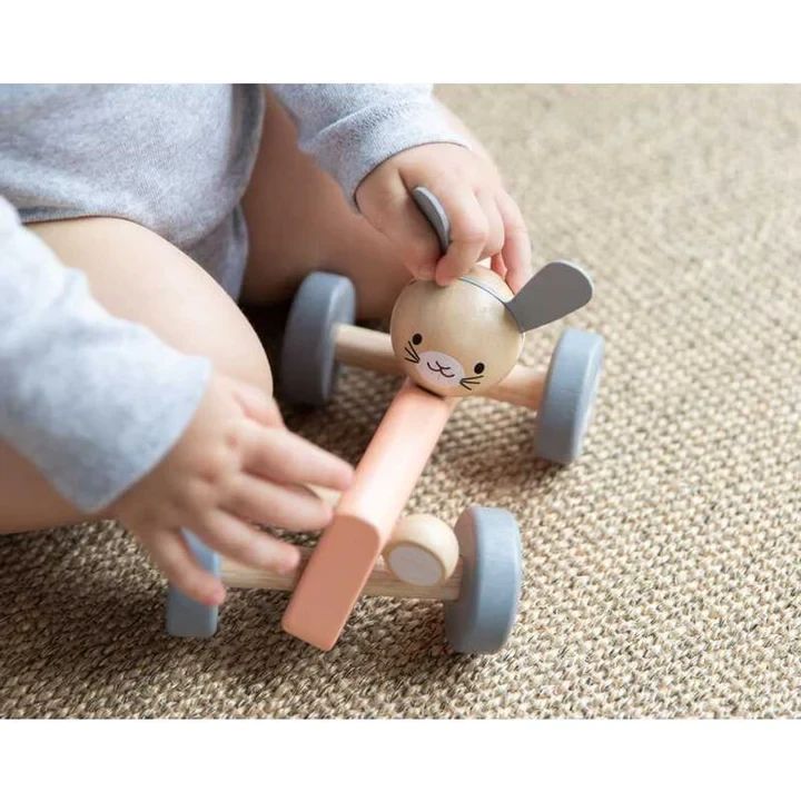 Carro de Corrida do Sr. Galo Chicken - Plan Toys