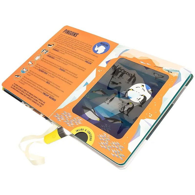 Livro Lanterna - Procure e encontre! Animais - Happy Books