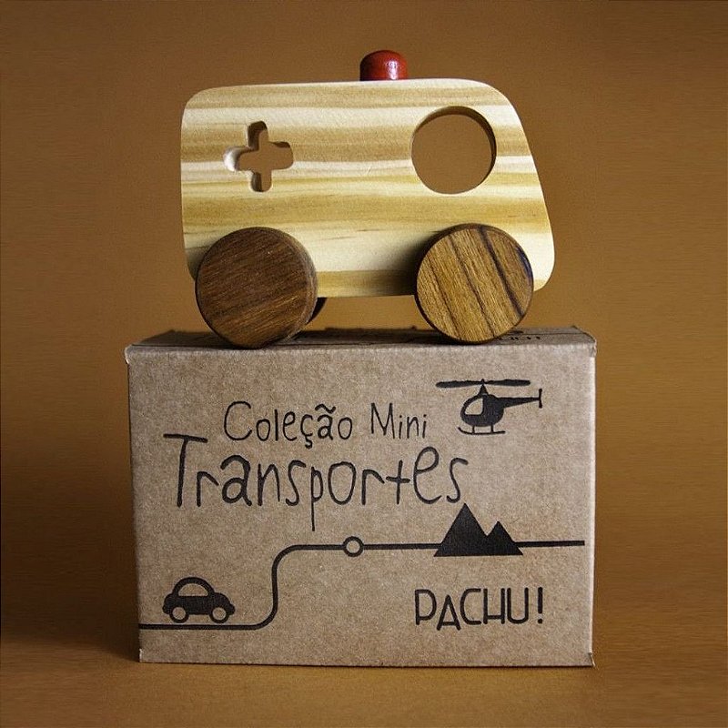 Mini Transporte Ambulância - Pachu