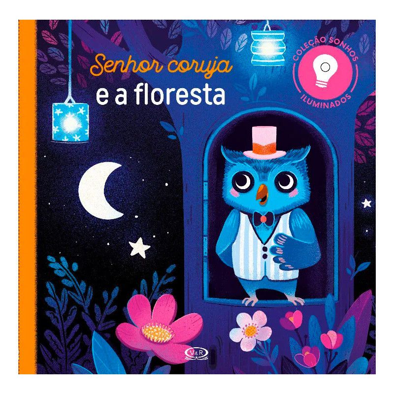 Livro Senhor Coruja e a Floresta - VR Editora