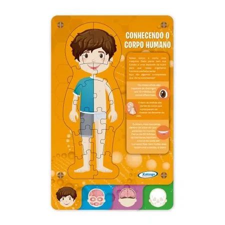 Steam Corpo Humano - Xalingo Brinquedos