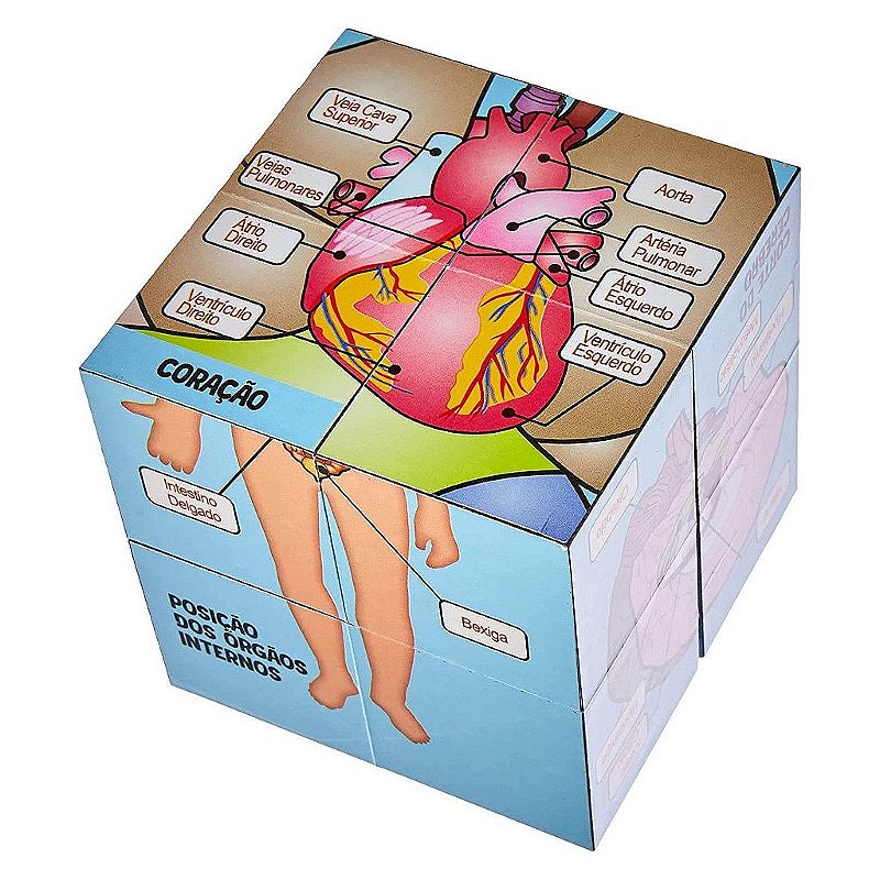 Steam Cubo Corpo Humano - Xalingo Brinquedos.