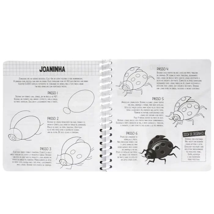 Um livro-kit divertido! Desenhe seus amigos Animais - Happy Books