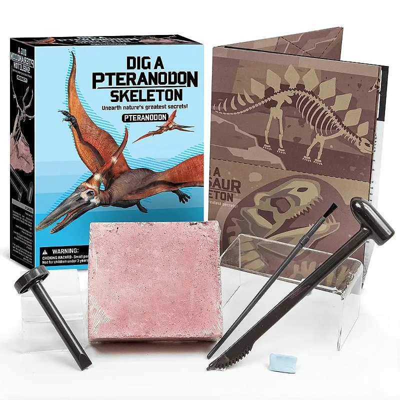 Kit de Escavação Pteranodonte - 4M