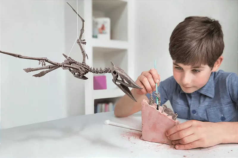 Kit de Escavação Pteranodonte - 4M