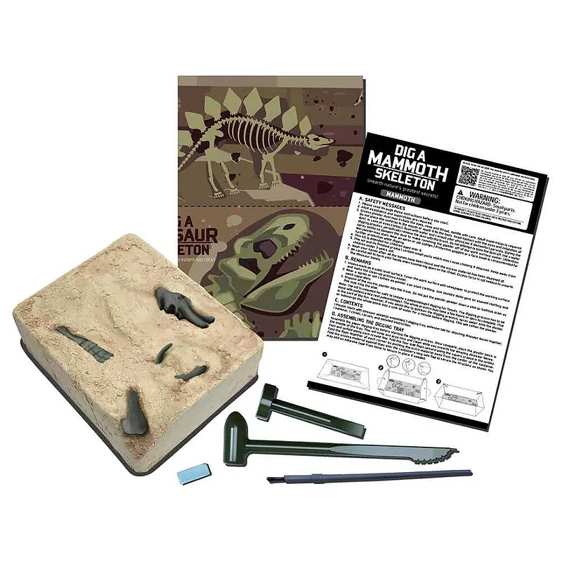 Kit de Escavação Pteranodonte - 4M