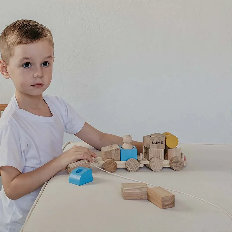 Carretinha de Encaixe: Construa e Brinque em Três Dimensões! Lume Brinquedos